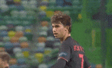 IMG_3481.gif