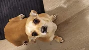 1000009911.webp