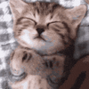 200.gif