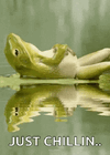 1785599196218.gif