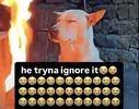 f0fb74c20556db27adbc472812552476.webp