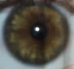20260809_175903.webp 20260809_175903.webp