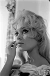1950s-brigitte-bardot-v0-3gukgs9ou8ga1.webp