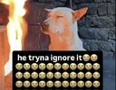 he-tryna-ignore-it-twitter.webp