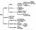 _ (2) copy.webp