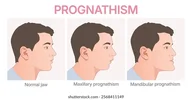 1788045221994.webp