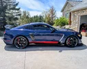 Shelby-with-MickeyTs-snipped.webp