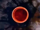 1792449262139.webp