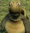 shocked-turtle-meme-3.jpg