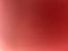 IMG_2882.jpeg