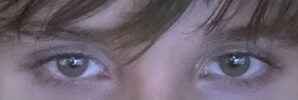 IMG_3953.jpeg