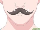 v4-460px-Curl-Your-Mustache-Step-5.jpg