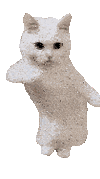 1726662740270.gif