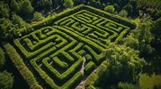 intricate-green-maze-stockcake.jpg