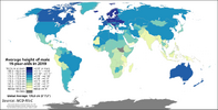 Average_height_of_male_19-year-olds_by_country_in_2019.svg.png