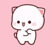 IMG_4035.gif