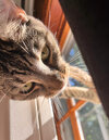 IMG_4620.jpeg