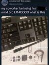 IMG_4639.jpeg