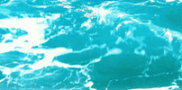 1733147749484.gif