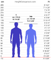 HeightComparison-chart (1).png