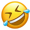 1733511780448.png