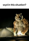 1733673985489.png