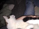 20241203_003512.jpg