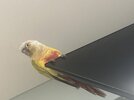 IMG_6757.jpeg