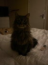 IMG_5668.jpeg