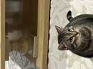 IMG_3677.jpeg