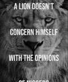 1730947634724.png