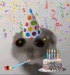 IMG_2817.jpeg