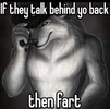IMG_2865.jpeg