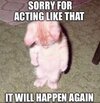 IMG_2868.jpeg