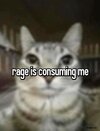 IMG_2869.jpeg