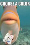 IMG_2881.jpeg