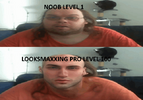 looksmaxxing-looksmaxing.png