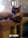 hi-im-funny-5ce6a2.jpg