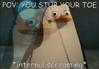 Private-Internal-Screaming.0.meme.webp