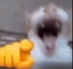 1738350960698.png