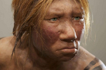 1738351566462.png
