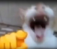 1738364187779.png