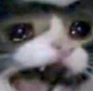 1738365028718.png