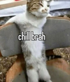 1738448396741.png