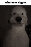 IMG_4386.jpeg