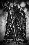IMG_8405.jpeg