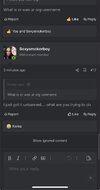 IMG_4431.jpeg
