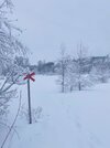 IMG_3849.jpeg