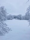 IMG_3850.jpeg