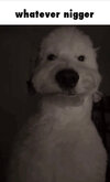 IMG_8457.jpeg